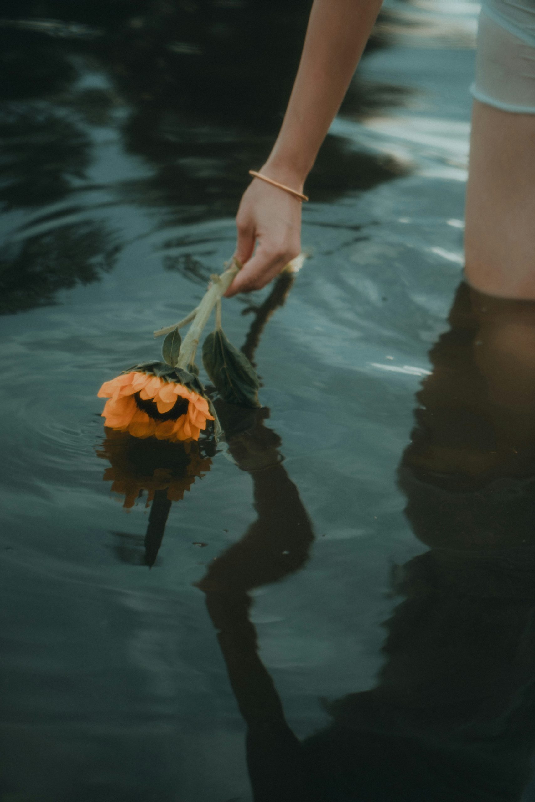 Liebeskummer loslassen Trauer verarbeiten – Herzschmerz verstehen