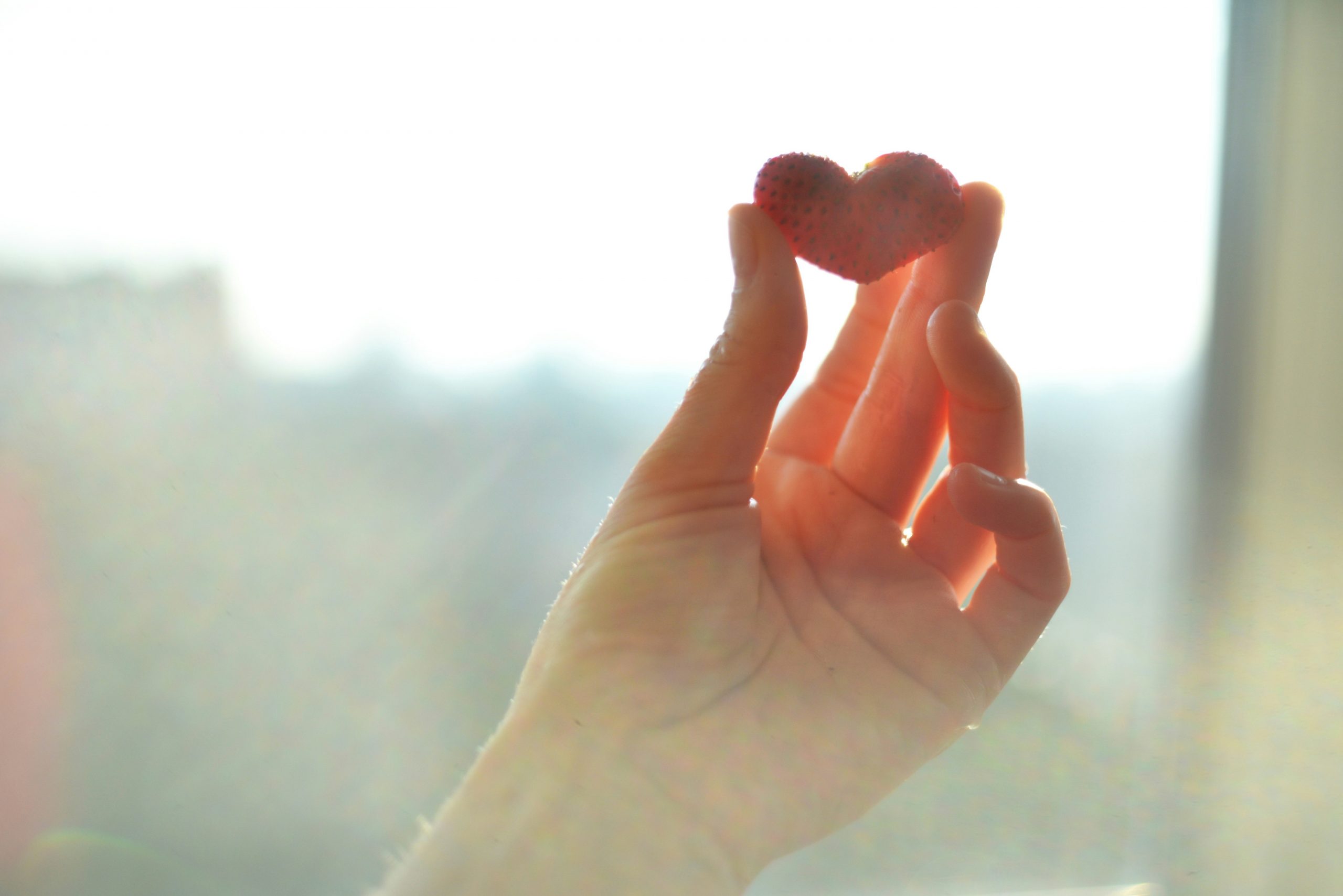 Liebe als Schutzkraft Herz-Symbol in der Hand – Liebe als Schutzkraft